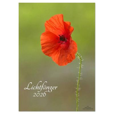 Lichtfänger (Tischkalender 2026 DIN A5 hoch), CALVENDO Monatskalender