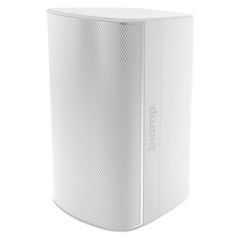 Biamp EX-S10-CM-W (1x 300 W) (911.1817.900)