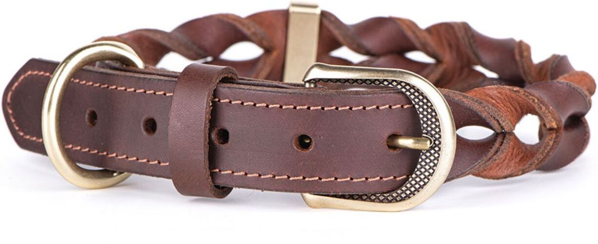 MyFamily Collare per Cani in Cuoio Ingrassato Marrone Ascot con Finiture in Ottone Inglese 2XL (49-59cm)