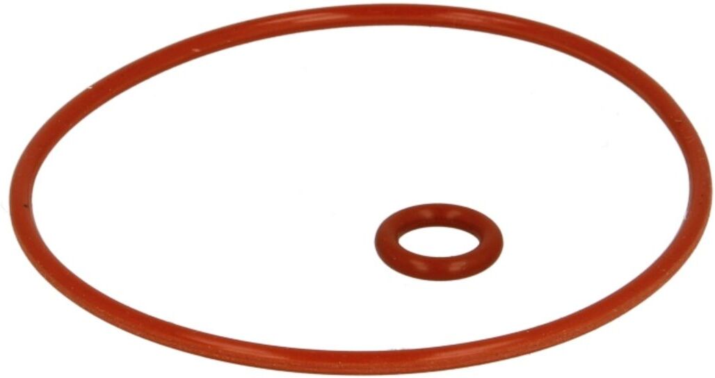 Moto-Press O-ring in gomma ZMP12.14.002