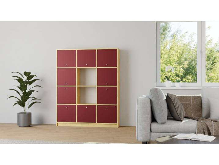 Regal mit Klapptüren nach Maß Buche Klarlack