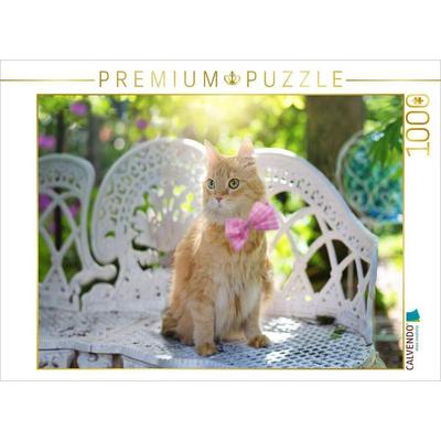 CALVENDO Puzzle Kätzchen in der Frühlingssonne | 1000 Teile Lege-Größe 64x48cm Foto-Puzzle für glückliche Stunden, Sonstige von , Calvendo Puzzle