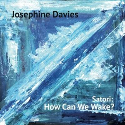 Satori: How Can We Wake? - Josephine Davies, Vinyl
