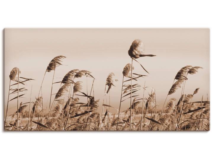 Leinwandbild ARTLAND Gräser , beige (farbe bild(er): natur), B:60cm H:30cm, Bilder, Leinwandbild, auf Holzrahmen gespannt