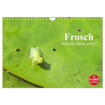 Frosch müsste man sein! (Wandkalender 2026 DIN A4 quer), CALVENDO Monatskalender