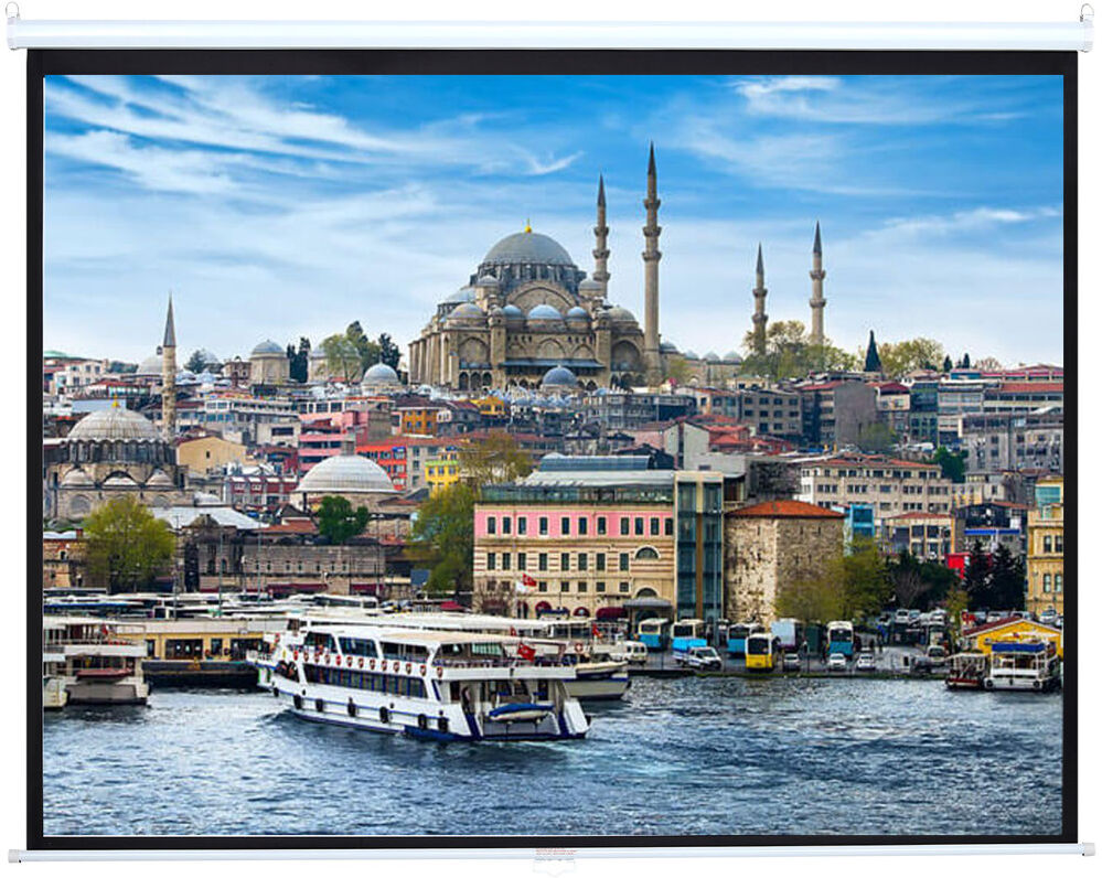 Latitude Run Electric Projector Screen Projector Screen White 152cm H x 227cm W
