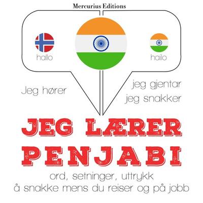 Jeg lærer penjabi - JM Gardner, Audio, 9782821126084