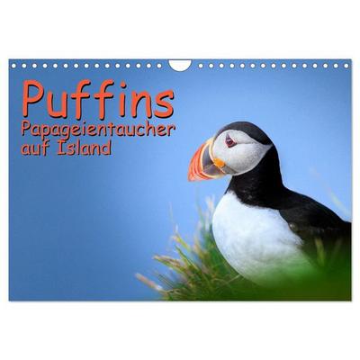 Puffins - Papageientaucher auf Island (Wandkalender 2027 DIN A4 quer), CALVENDO Monatskalender