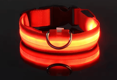Uplift Curations Nylon Luminous Dog Leash And Glow In The Dark Dog Collar LED Safety Pet Leash For Night Walking red xl