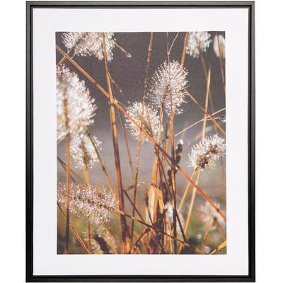 Bild mit Rahmen CREATIV HOME "Leinwandbild Blüten mit Tropfen", bunt (farbe rahmen: schwarz, farbe bild(er): bunt), B:40cm H:50cm T:2,5cm, Canvas, Kunststoff, Bilder, mit Rahmen
