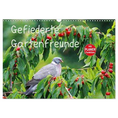 Gefiederte Gartenfreunde (Wandkalender 2027 DIN A3 quer), CALVENDO Monatskalender