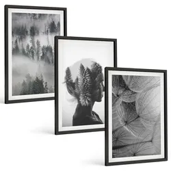 BILDER SET 3er Set - 40x60 cm Schwarzer Rahmen - Waldnebelporträt Baum Löwenzahn