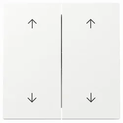 Gira 2-fach Wippe mit 4 Pfeilsymbolen (reinweiß, glänzend)