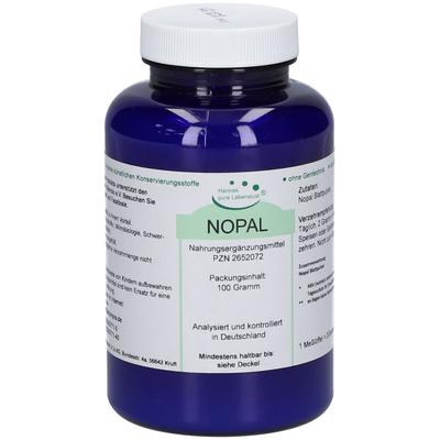 Nopal Kaktus Pulver 100 g