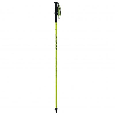 Dynafit - Vertical Pole - Trailrunning Stöcke Gr 120 cm general lee /blau