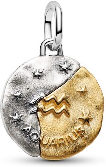 PANDORA Talisman Wassermann Medaillon Charm silber-gold