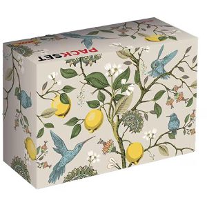 DeutschePost Faltkartons PACKSET Koolibris, Gr. S, mit Motiv, Innenmaße: 246 x 169 x 94mm