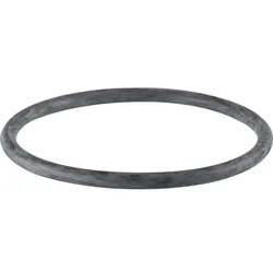Geberit PE Rundschnurring di124x8 368789001