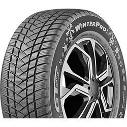GT Radial Winterpro2 Evo 205/55 R16 91T  Winterreifen