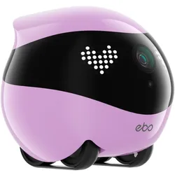 Enabot Ebo Air 2 (2304 x 1296 Pixels), Netzwerkkamera, Pink