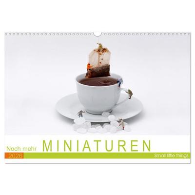 Noch mehr Miniaturen - Small little things (Wandkalender 2026 DIN A3 quer), CALVENDO Monatskalender