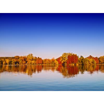 Fototapete PAPERMOON "Autumn Lake", bunt, B:4m L:2,6m, Vlies, Tapeten