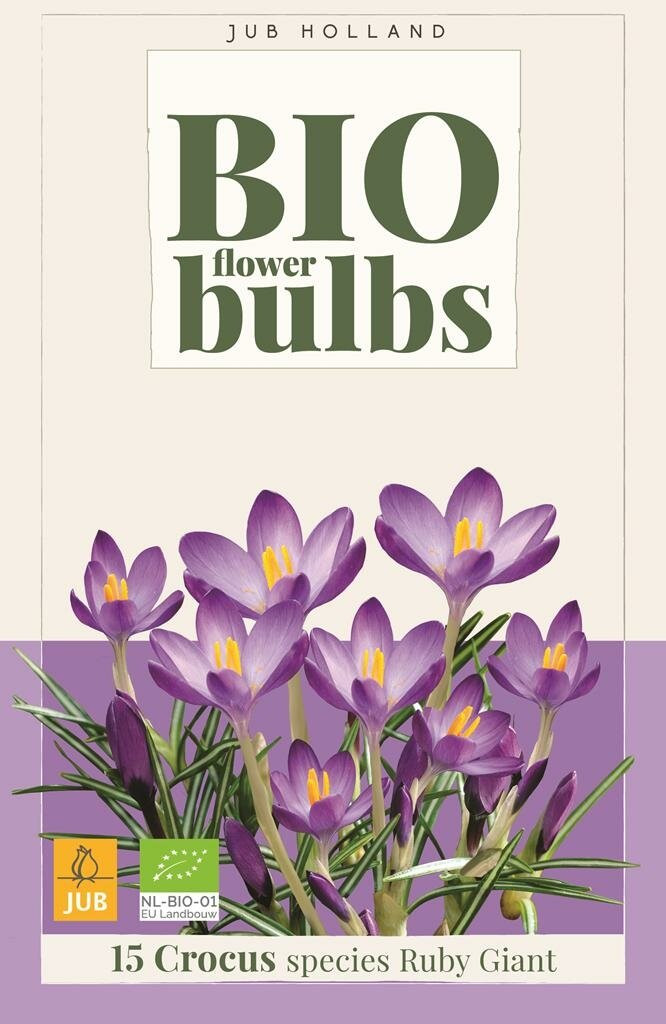 Jub Bio krokus Ruby Giant 15 bollen