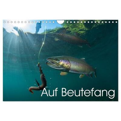 Auf Beutefang (Wandkalender 2027 DIN A4 quer), CALVENDO Monatskalender
