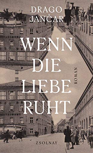 Drago Jancar - Wenn die Liebe ruht: Roman - Preis vom 10.10.2026 11:48:34 h