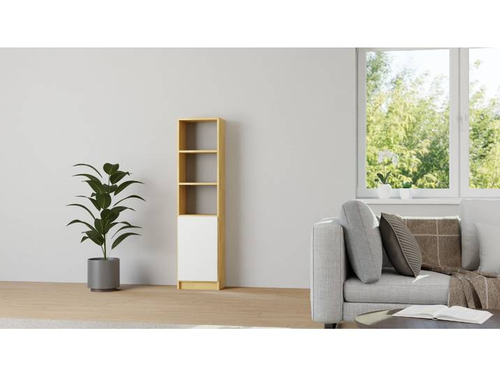 Schlichter CD Schrank nach Maß Buche Natur geölt