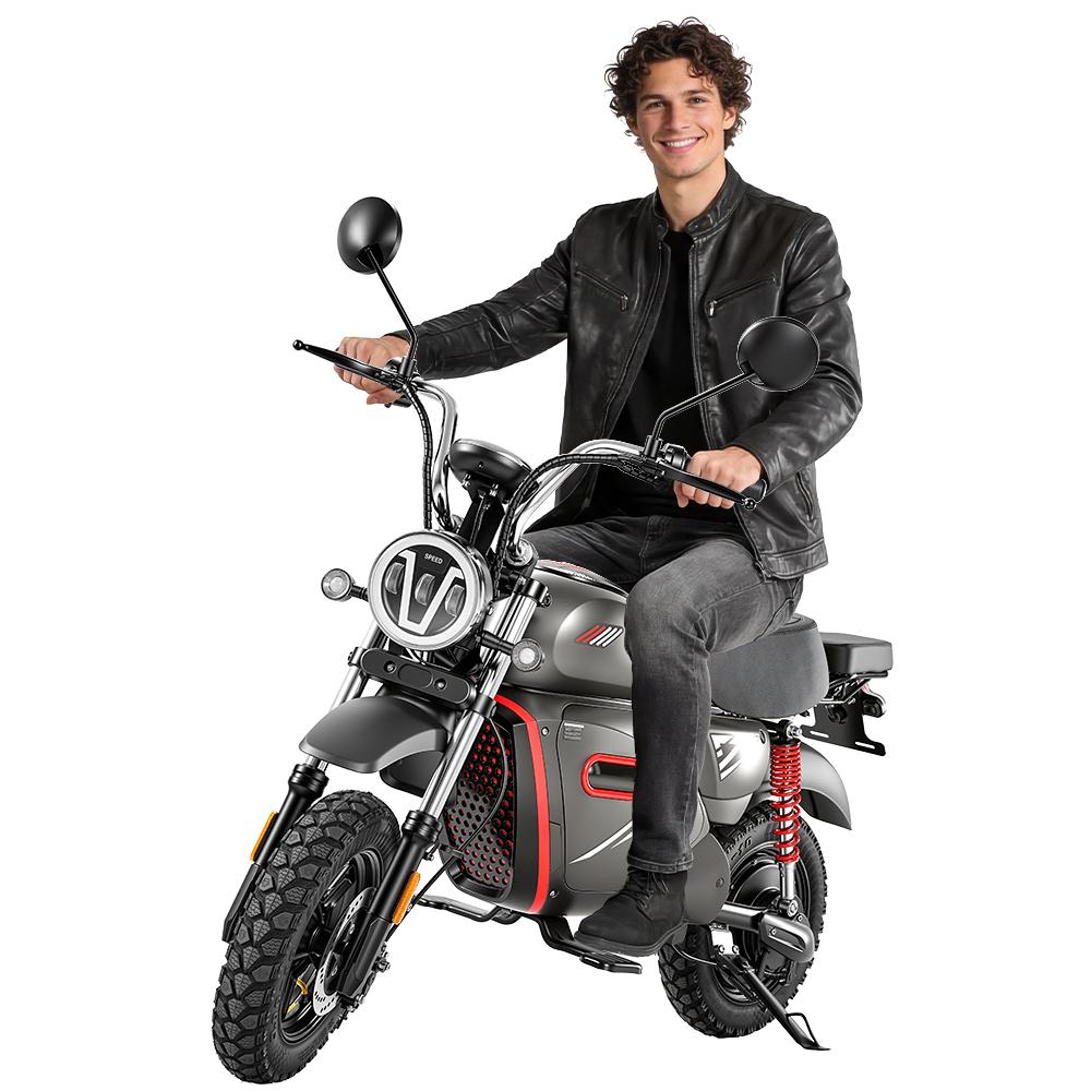 Y18 Einkaufs-E-Bike, 48 V 20 Ah, bis 150 kg, 15 Zoll Reifen, mit NFC