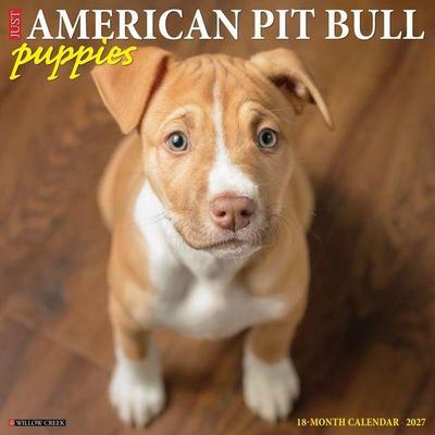 American Pit Bull Terrier Puppies 2027 12 X 12 Wall Calendar