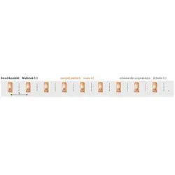 Pollmann 2227345 Phasenschiene S-3L-263 ML S-3L-263/10ML(15TE)  - 25 Stück