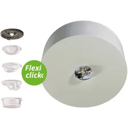 RP-Technik Sicherheitsleuchte ILDL423WB-TT
