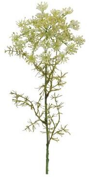 Melrose International Queen Anne's Lace Floral Stem (Set of 4)