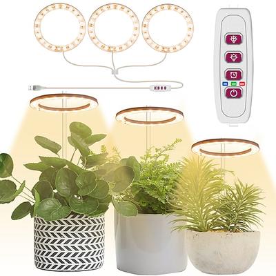 pflanzenlicht engelsring fleischig fülllicht usb farbig vollspektrum led bonsai innen zeitgesteuertes dimmen wachstumslicht ist geeignet für zimmerpflanzen topffleisch aquarienpflanzen 1pc