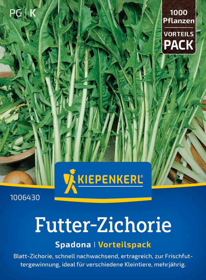 Kiepenkerl Gründünger Futter-Zichorie Spadona Vorteilspackung für ca. 1000 Pflanzen