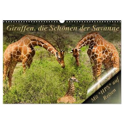 Giraffen, die Schönen der Savanne (Wandkalender 2027 DIN A3 quer), CALVENDO Monatskalender