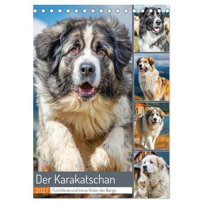 Der Karakatschan. Furchtlose und treue Hüter der Herden (Tischkalender 2027 DIN A5 hoch), CALVENDO Monatskalender