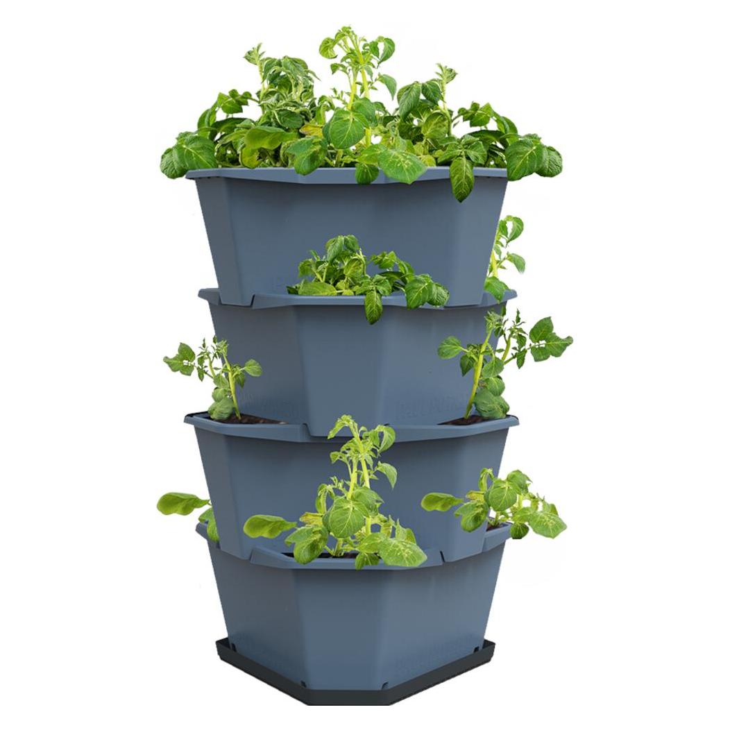 Gusta Garden Aufzuchttöpfe PAUL POTATO Starter, 4 Etagen, Blaugrau (40 x 44 x 6.50 cm) (104341)