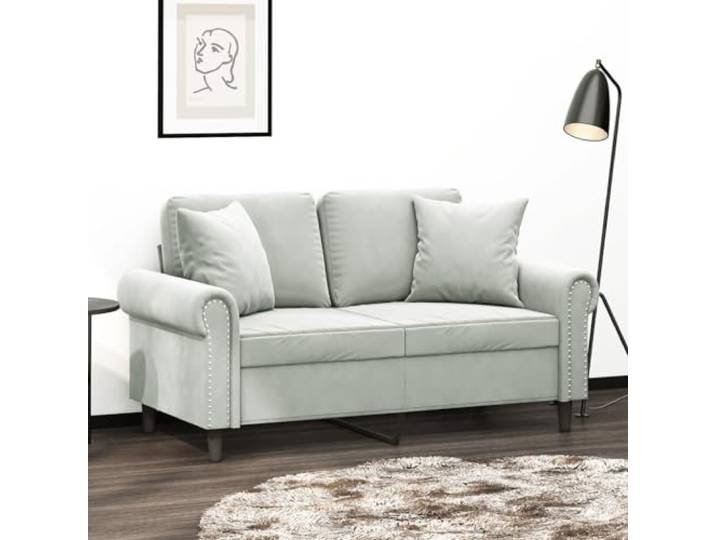 HEFZGDB Modernes 2-Sitzer-Sofa mit Zierkissen 120 cm Hellgrau Samtstoff Polsterung Metallgestell Bequem Entspannen