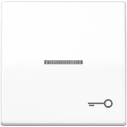 Jung Wippe mit Lichtleiter SPAS 591 KO5T WW