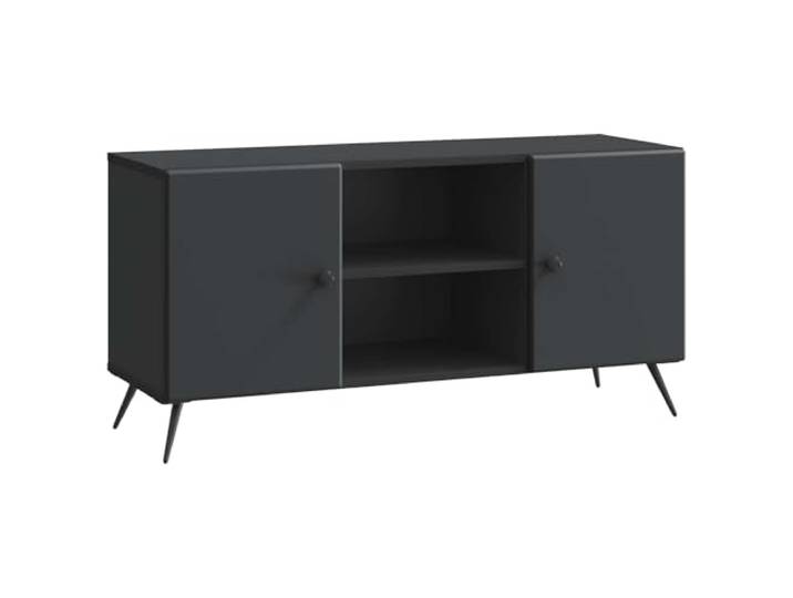 Favemtsl TV Lowboard Schwarz 102x34,5x50 cm Fernsehtisch Stilvoller TV-Schrank aus Holzwerkstoff mit Schwenktüren für ordentlichen Stauraum im Wohnzimmer oder Schlafzimmer.