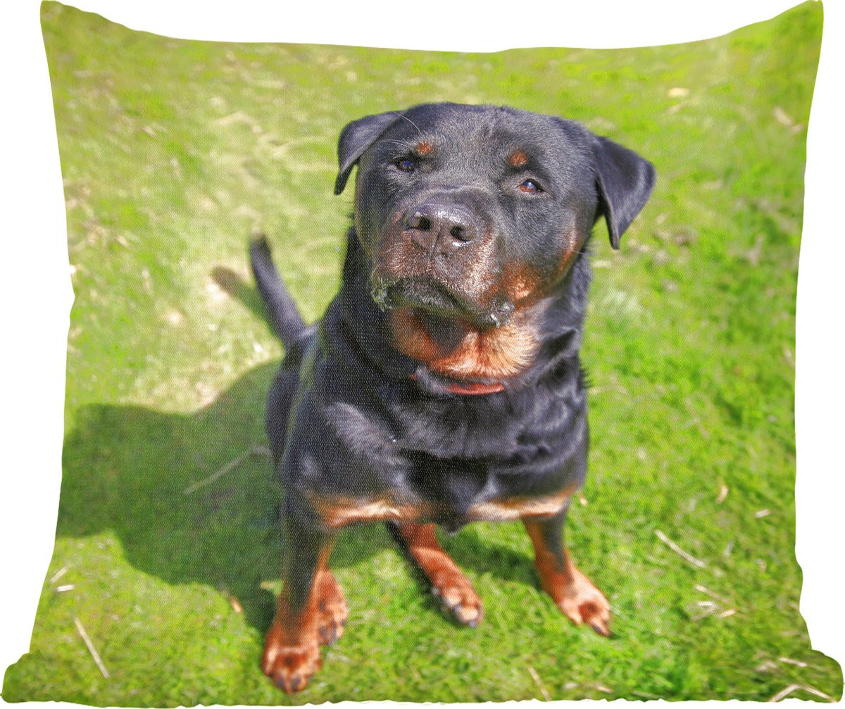 Sierkussen Rottweiler kijkt naar zijn baasje - 45 x 45 cm