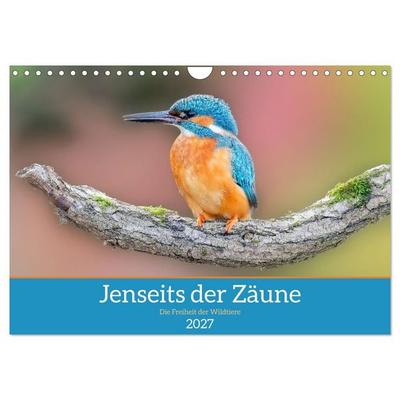 Jenseits der Zäune (Wandkalender 2027 DIN A4 quer), CALVENDO Monatskalender