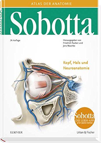 Friedrich Paulsen - Sobotta, Atlas der Anatomie Band 3: Kopf, Hals und Neuroanatomie - Preis vom 30.09.2026 09:01:18 h