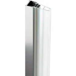 Neuesbad Magnetprofil für Walk-In, Chrom NB1DEKTJ000X1