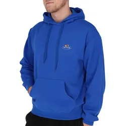 Fruit of the Loom Fruit of the Loom Kapuzen-Sweat mit kleinem kleinem Vintage-Logo, royal, S