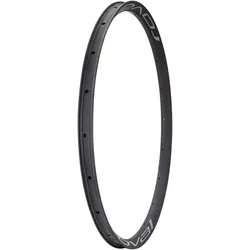 Roval Felge Control SL Team 29 MY24, vorne/hinten, Disc, 20 Loch, hakenlos
