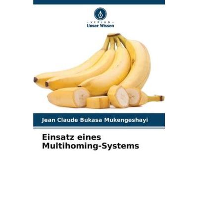 Einsatz eines Multihoming-Systems, Taschenbuch von Jean Claude Bukasa Mukengeshayi, Verlag Unser Wissen, 978-620-6-21853-1